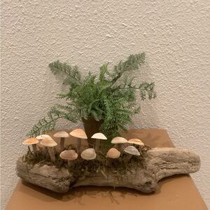 Driftwood Art, Driftwood & Seashell Mushrooms , Mushroom Art